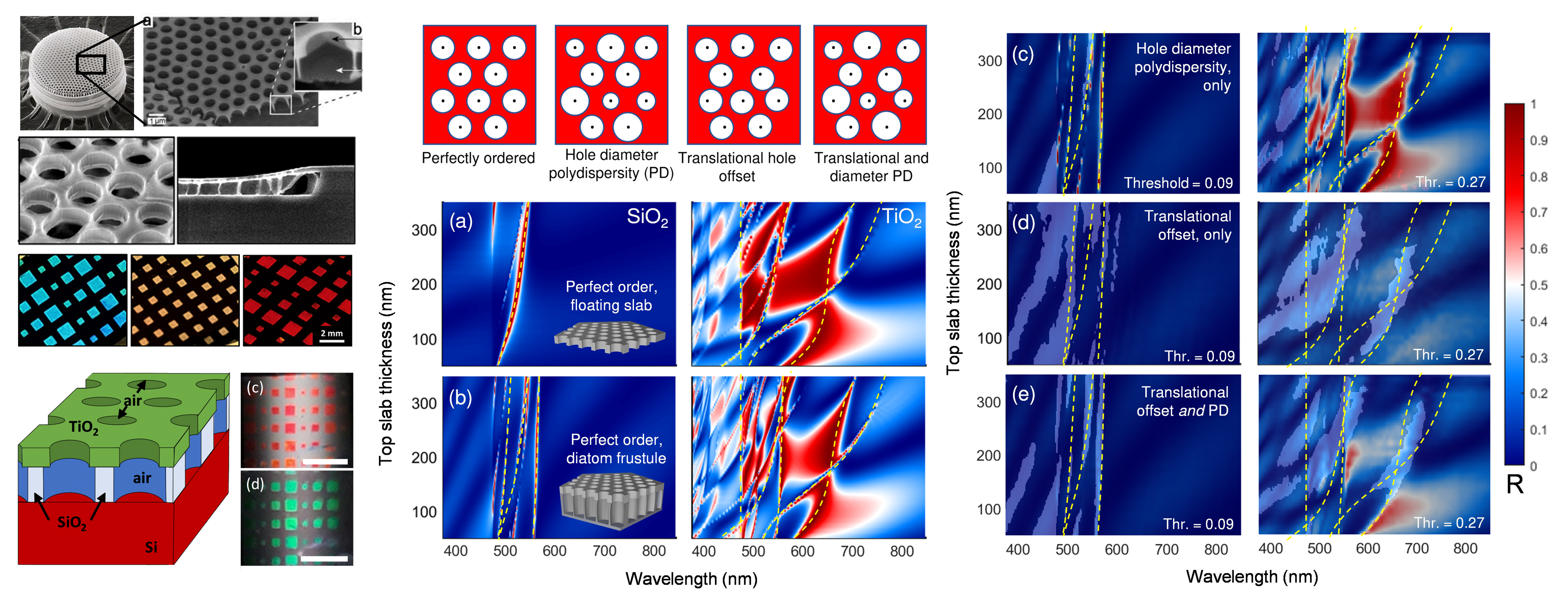 Colloid-enabled optoelectronic systems